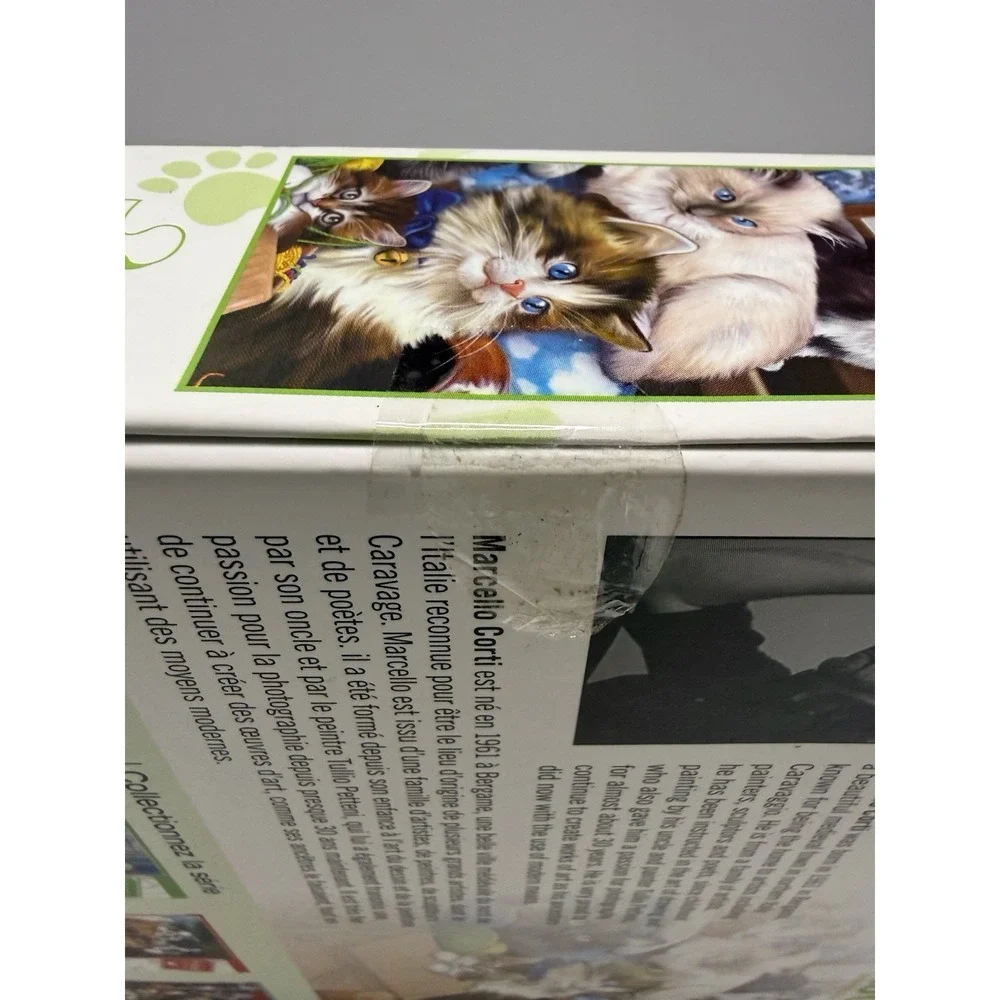 MasterPieces Furry Friends 1000 Piece Puzzle Cats Kittens Bonus Poster Sealed